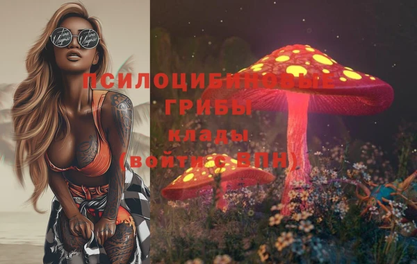 jwh Белокуриха
