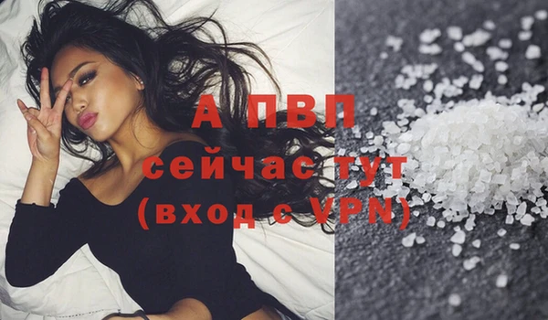 jwh Белокуриха
