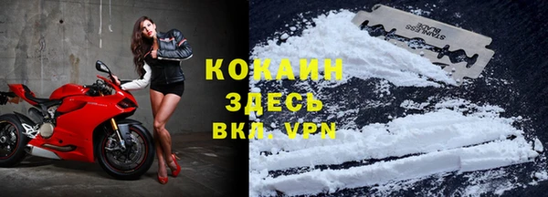 jwh Белокуриха