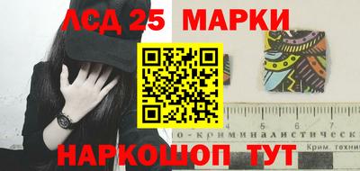 спайс Гатчина