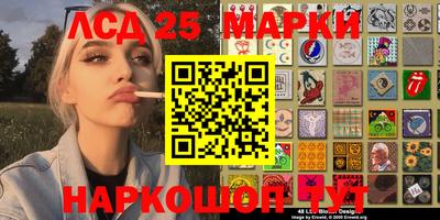 гидропоника Берёзовский