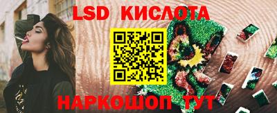 гидропоника Берёзовский