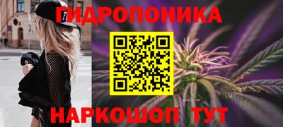 spice Бийск