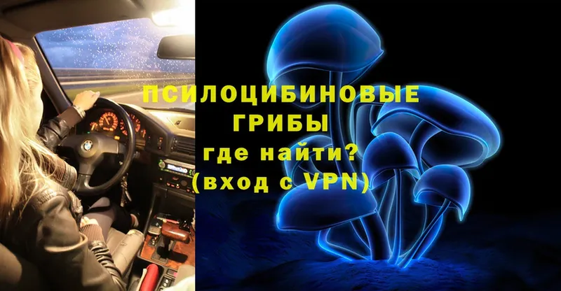 Псилоцибиновые грибы прущие грибы  hydra   Вязники 