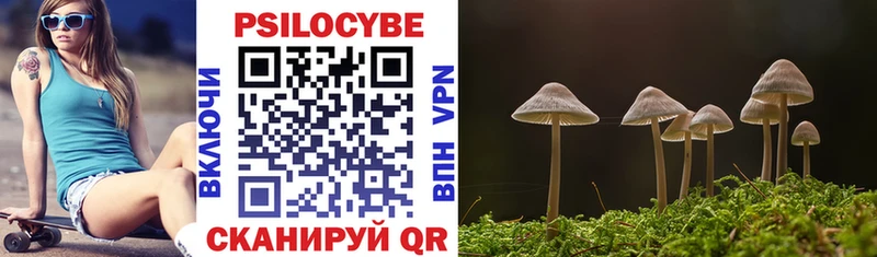 Галлюциногенные грибы Psilocybe  Вязники 