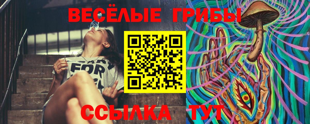 Галлюциногенные грибы Psilocybe  Вход с VPN  Вязники  Псилоцибиновые грибы мицелий 